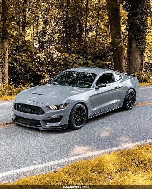 Ravoony Plus PET Gloss Dark Nardo Grey Wrap review 