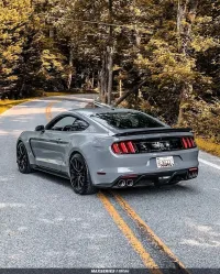 Ravoony Plus Gloss Nardo Grey Wrap review 3