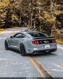 Ravoony Plus Gloss Nardo Grey Wrap review Tiny Shannon 04