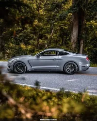 Ravoony Plus Gloss Nardo Grey Wrap review 7