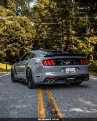 Ravoony Plus Gloss Nardo Grey Wrap review 8