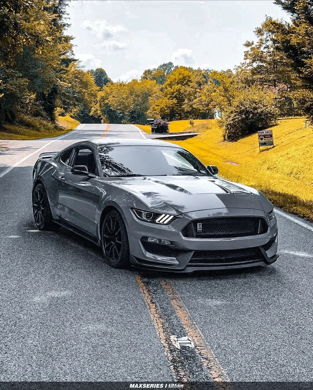 Ravoony Plus Gloss Nardo Grey Wrap review Tiny Shannon 07