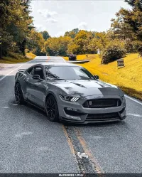 Ravoony Plus Gloss Nardo Grey Wrap review 6