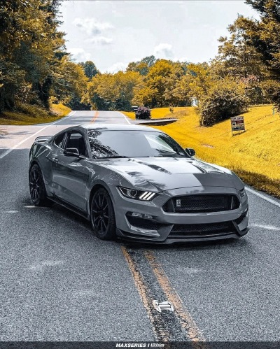 Ravoony Plus Gloss Nardo Grey Wrap review Tiny Shannon 06