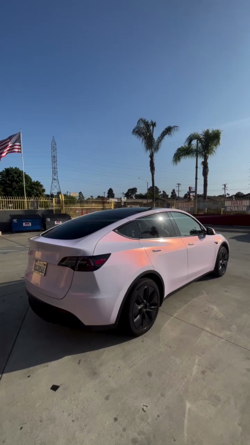 Ravoony Plus Glossy Flower Pink Car Wrap review 