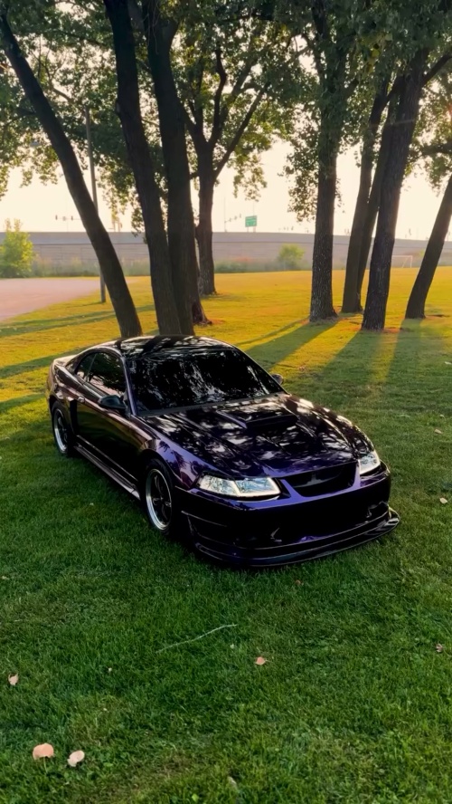 Ravoony Plus Gloss Midnight Purple Car Vinyl Wrap review 