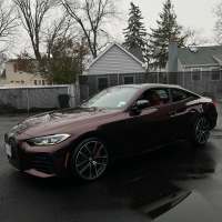 Ravoony Plus Gloss Black Rose Vinyl Wrap review 0