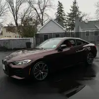 Ravoony Plus Gloss Black Rose Vinyl Wrap review 0