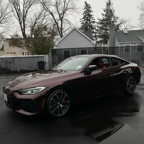 Ravoony Plus Gloss Black Rose Vinyl Wrap review 