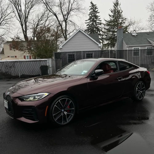 Ravoony Plus PET Gloss Black Rose Vinyl Wrap review 