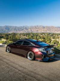 Ravoony Plus Gloss Black Rose Vinyl Wrap review 2