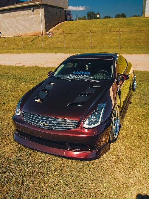 Ravoony Plus PET Gloss Black Rose Vinyl Wrap review 