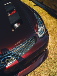 Ravoony Plus Gloss Black Rose Vinyl Wrap review 1