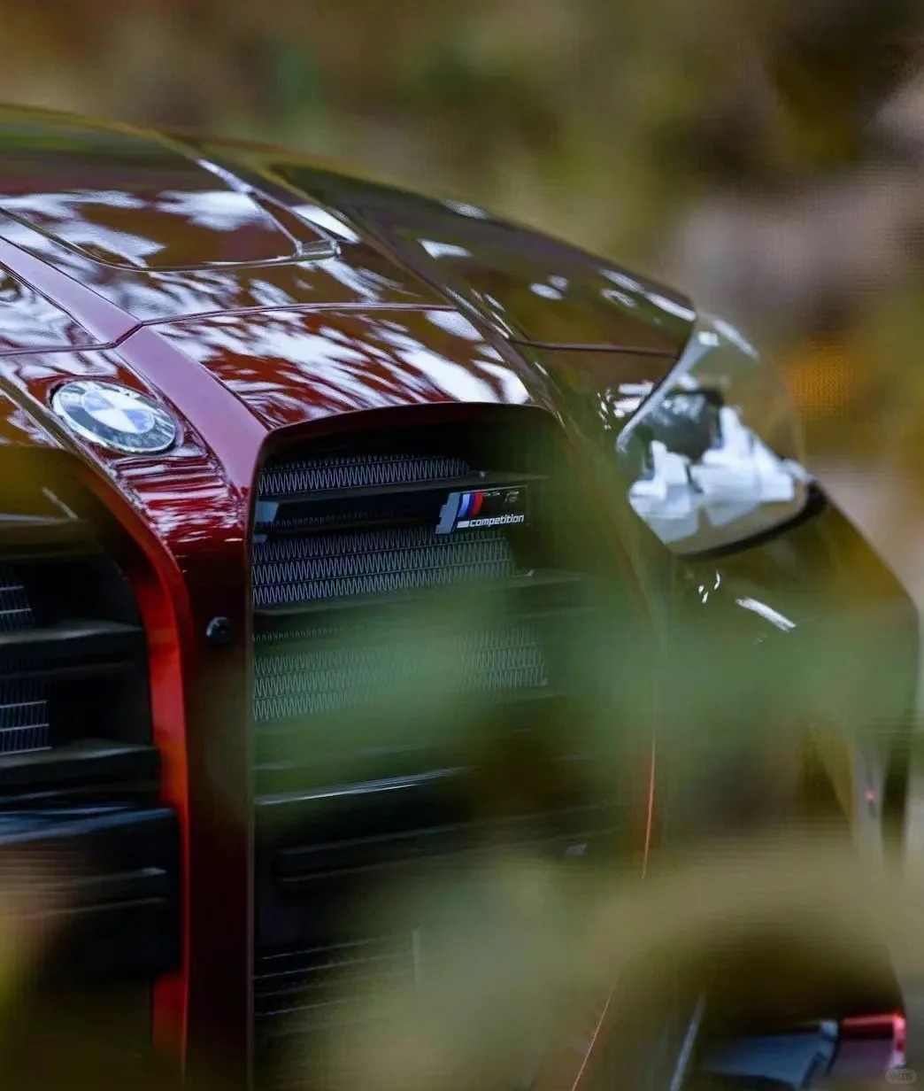 Ravoony Plus Liquid Metallic Dragon Blood Red Vinyl Car Wrap review Jacy Cheney 02