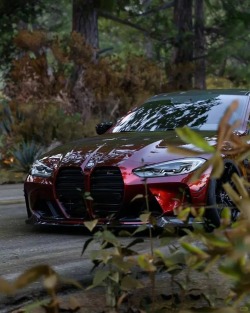 Ravoony Plus Liquid Metallic Dragon Blood Red Vinyl Car Wrap review Jacy Cheney 04