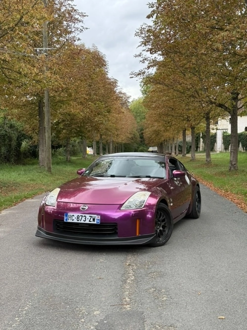 Ravoony Plus PET Gloss Pearl Grape Purple Car Wrap review 