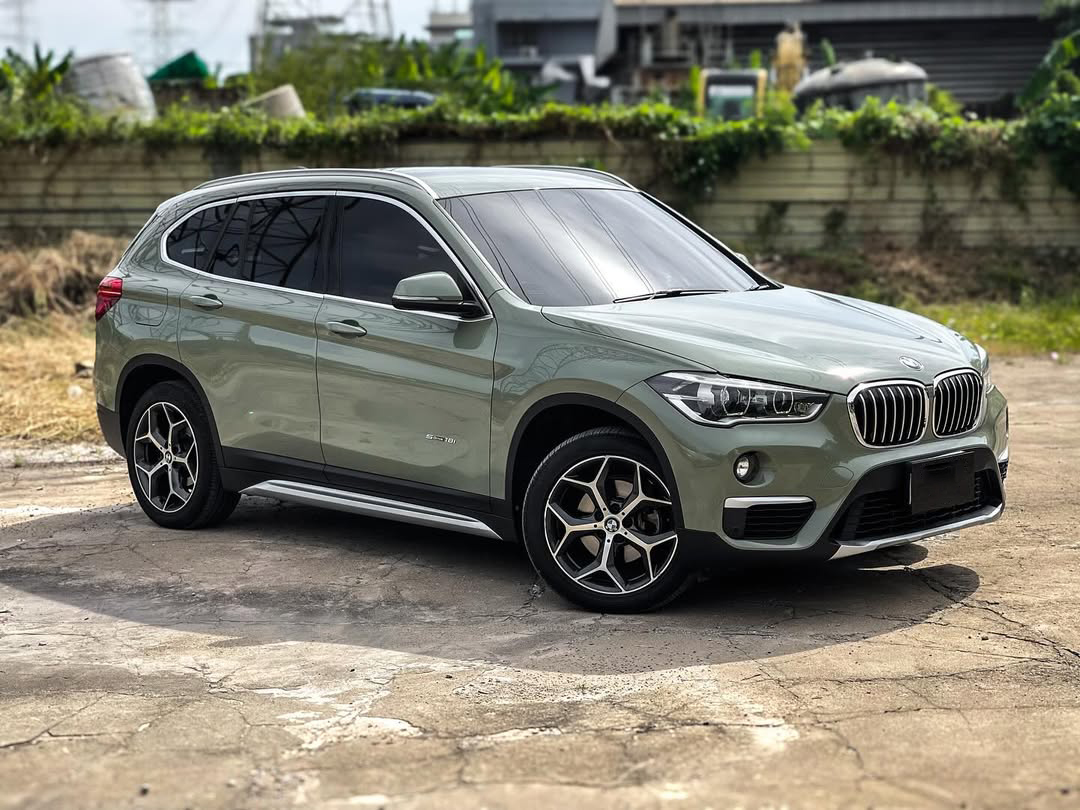 Ravoony Basic PET Gloss Khaki Green Car Vinyl Wrap review 0