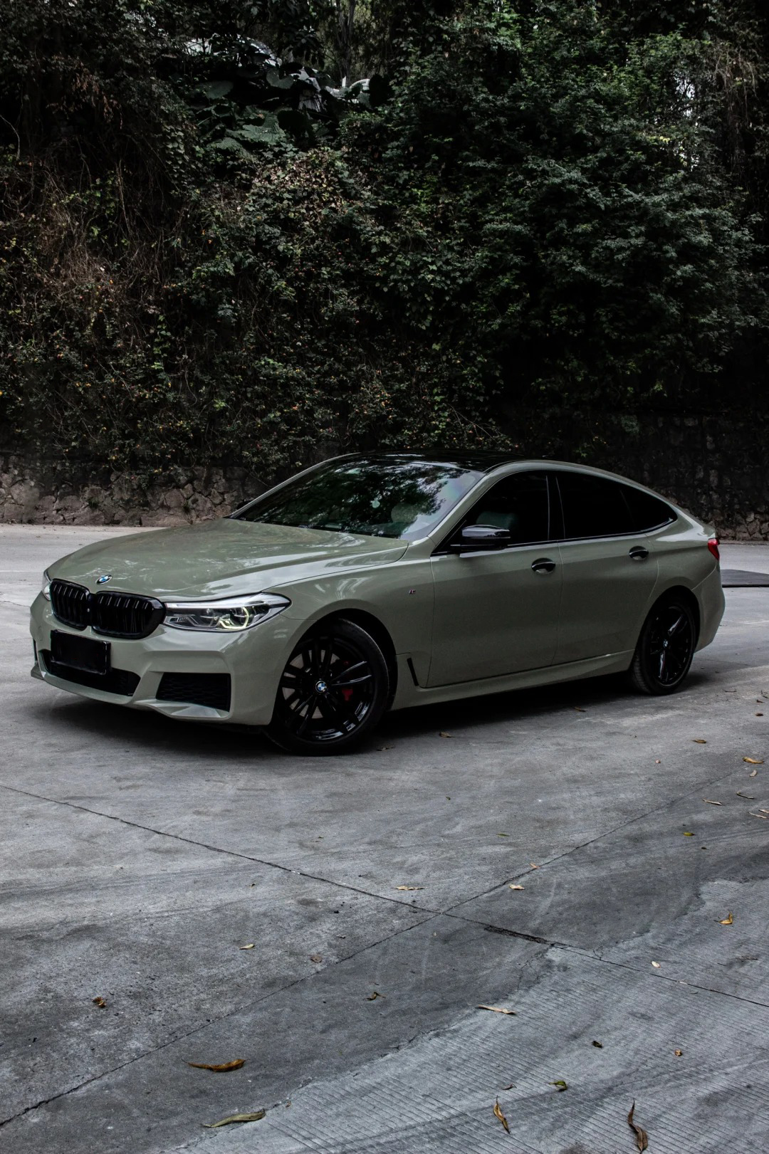 Ravoony Basic PET Gloss Khaki Green Car Vinyl Wrap review 0