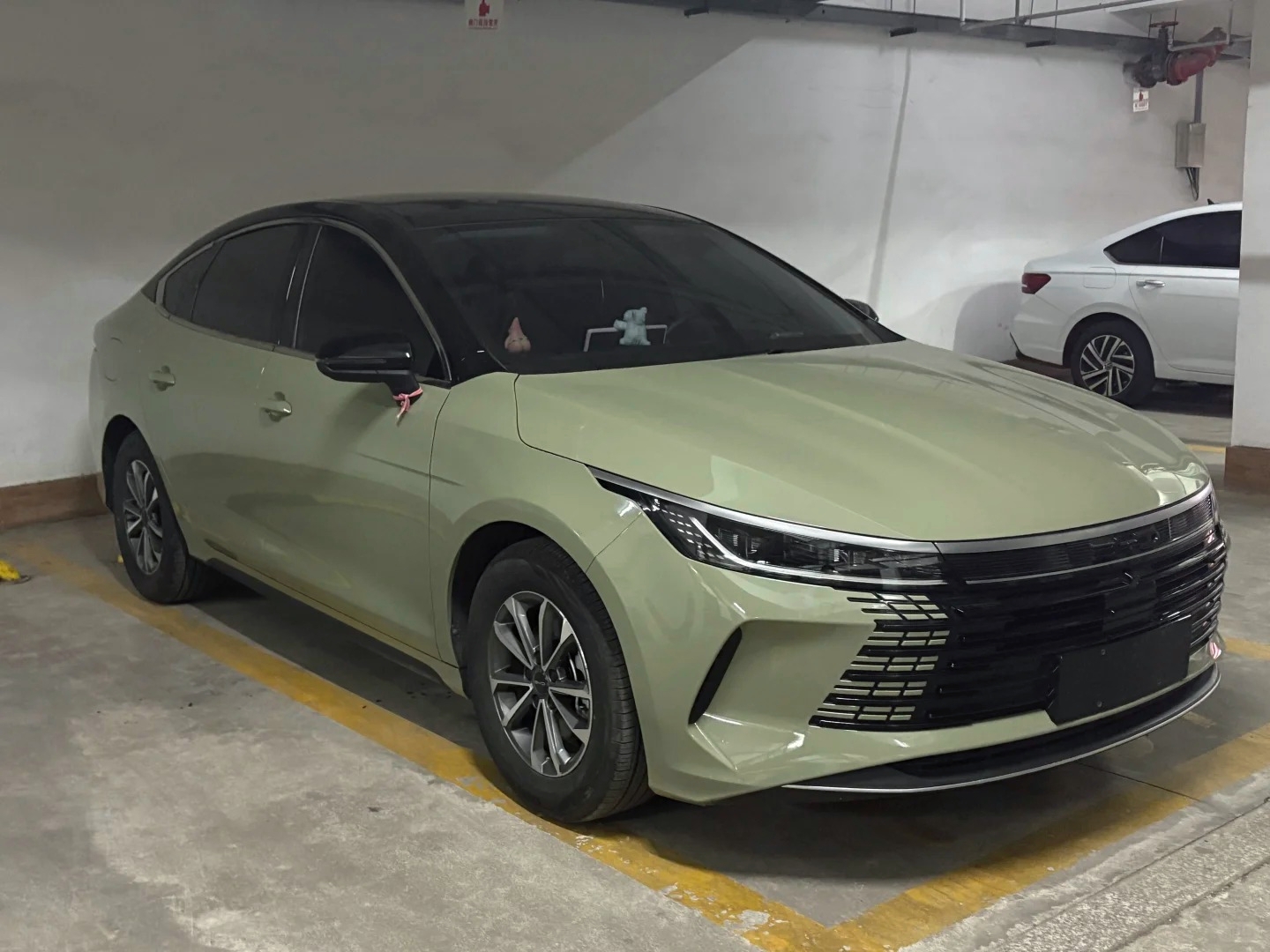 Ravoony Basic PET Glossy Light Khaki Green Car Wrap review 0