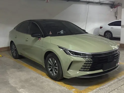 Ravoony Basic PET Glossy Light Khaki Green Car Wrap review 