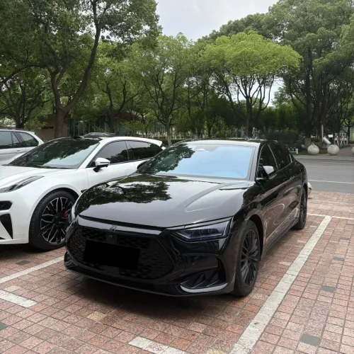 Ravoony Basic PET Glossy Crystal Black Car Vinyl Wrap review 