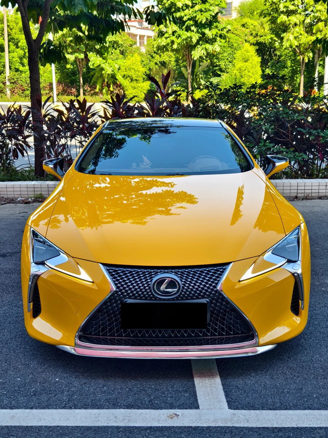 Ravoony Basic PET Gloss Sunflower Yellow Vinyl Wrap review 0