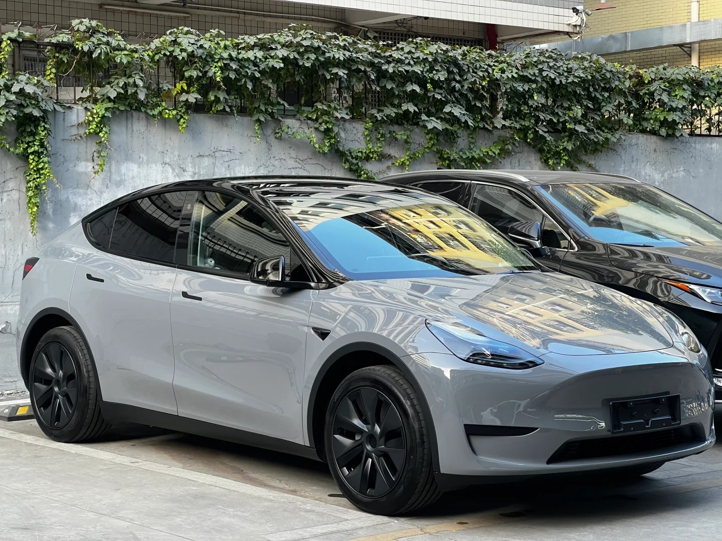 Ravoony Basic PET Gloss Light Nardo Grey Wrap review Ethan Hayes 01