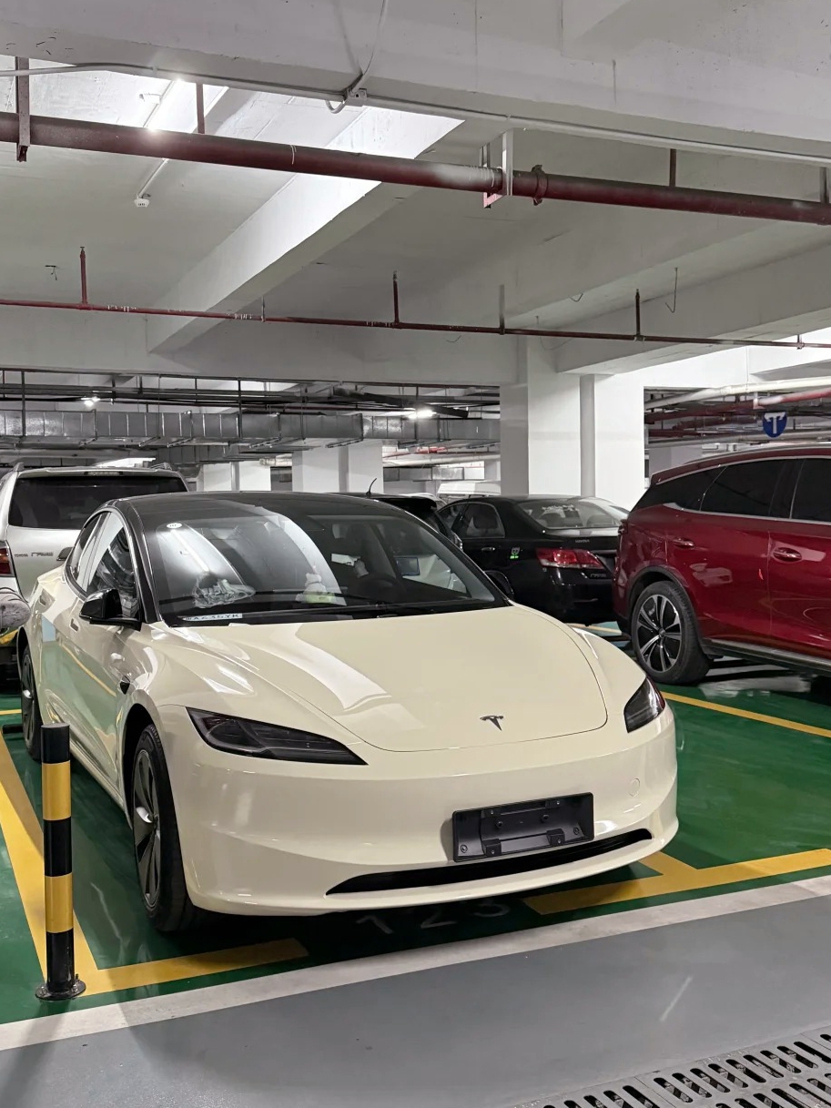 Ravoony Basic PET Glossy Khaki Milan Car Vinyl Wrap review 0