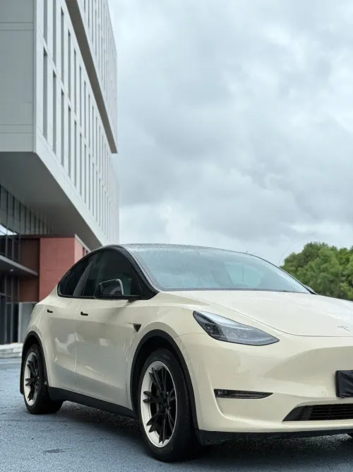 Ravoony Basic PET Glossy Khaki Milan Car Vinyl Wrap review 