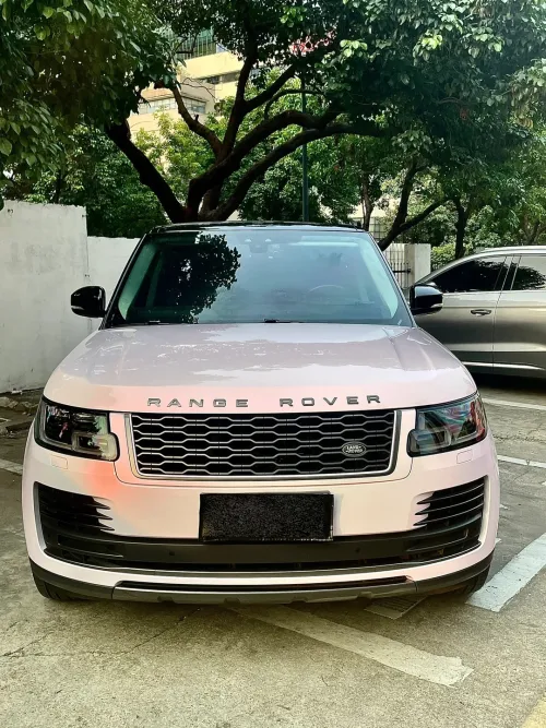 Ravoony Plus Glossy Flower Pink Car Wrap review 