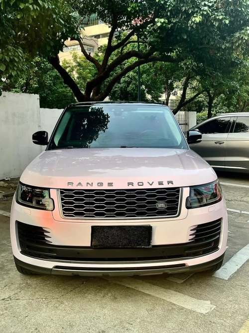 Ravoony Plus Glossy Flower Pink Car Wrap review 