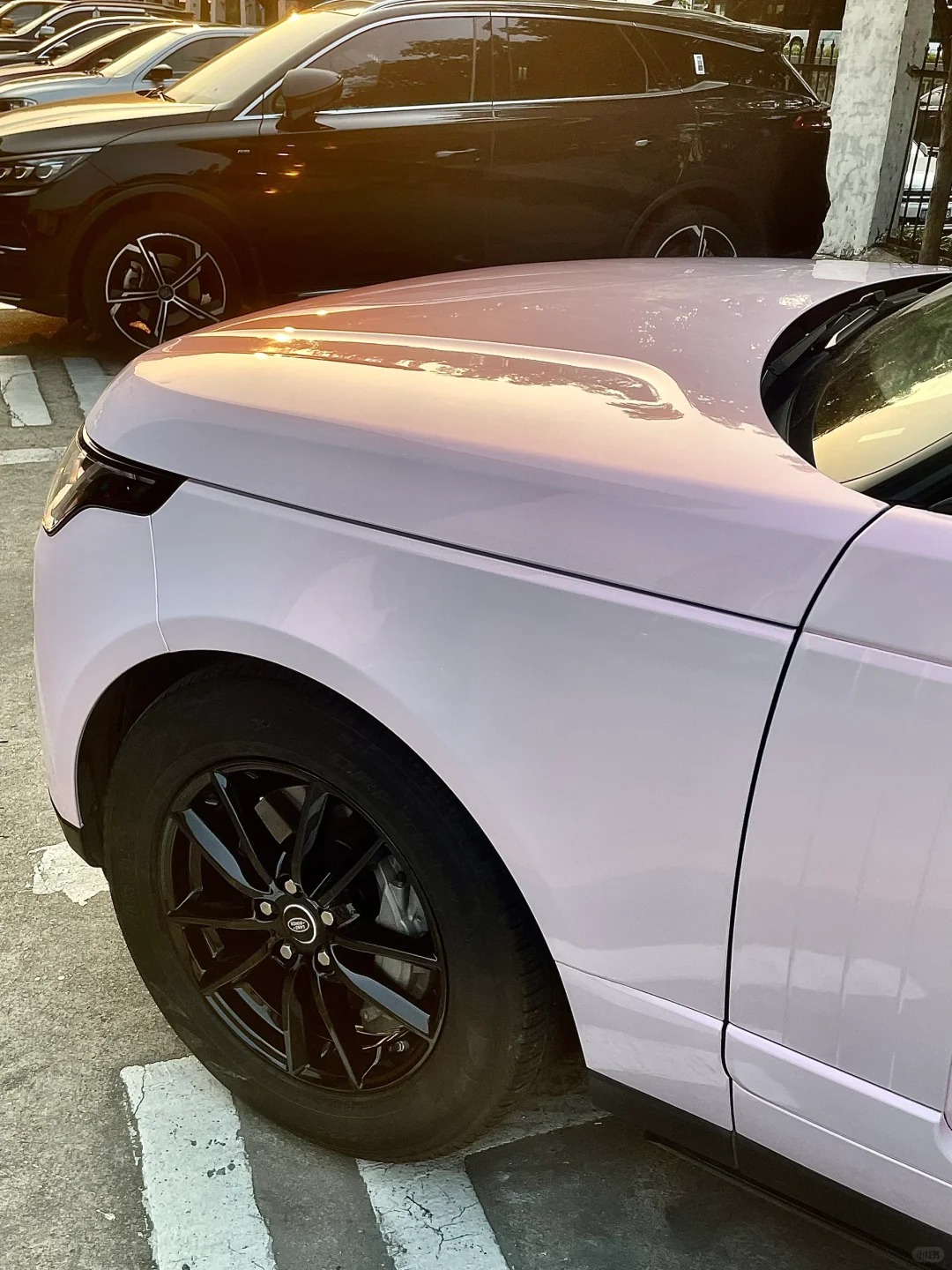 Ravoony Plus Glossy Flower Pink Car Wrap review 2