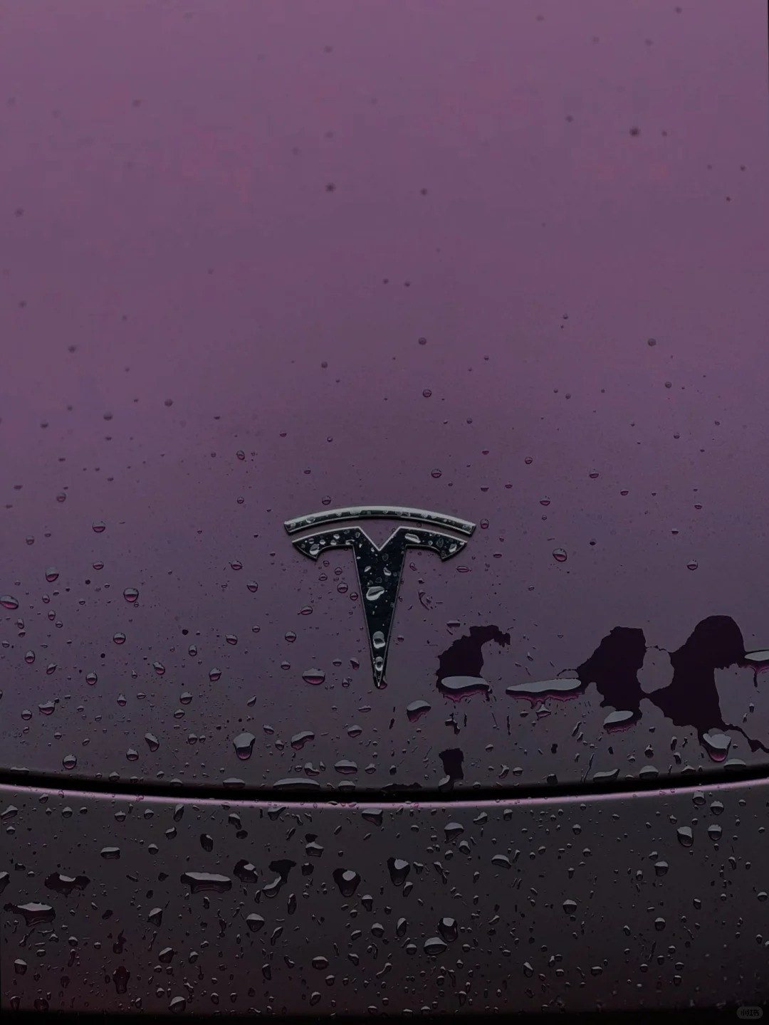   Ravoony Plus Ultra Matte Black Purple Car Vinyl Wrap review Ava Simmons 00