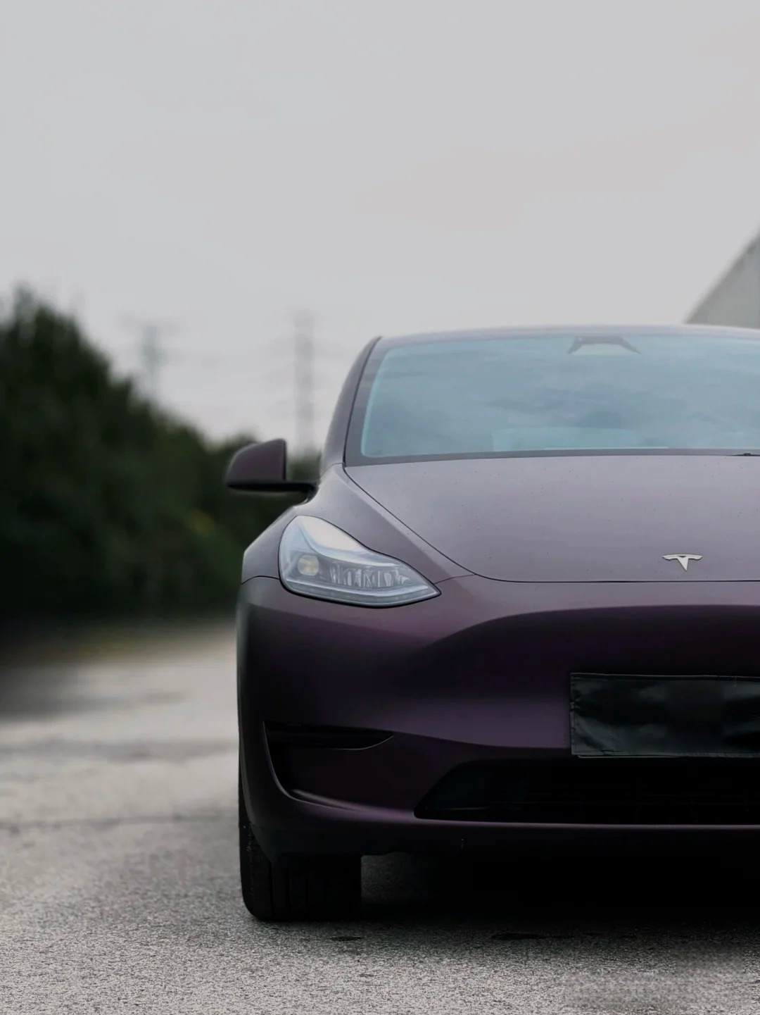   Ravoony Plus Ultra Matte Black Purple Car Vinyl Wrap review Ava Simmons 01