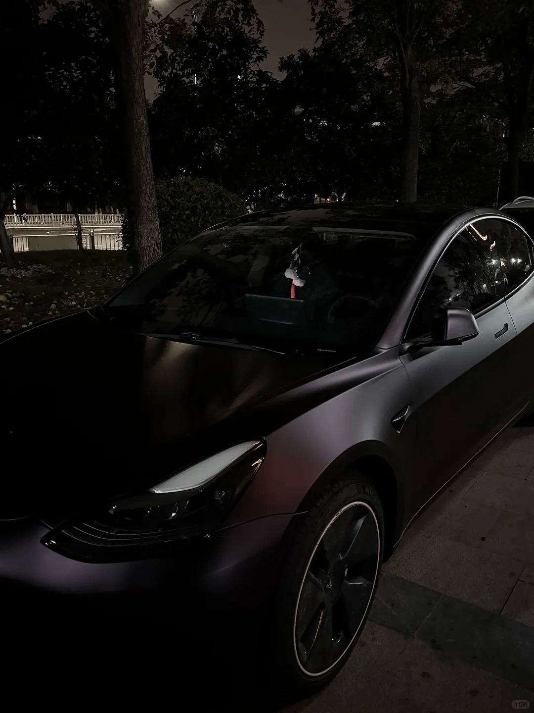  Ravoony Plus Ultra Matte Black Purple Car Vinyl Wrap review Hannah Griffin