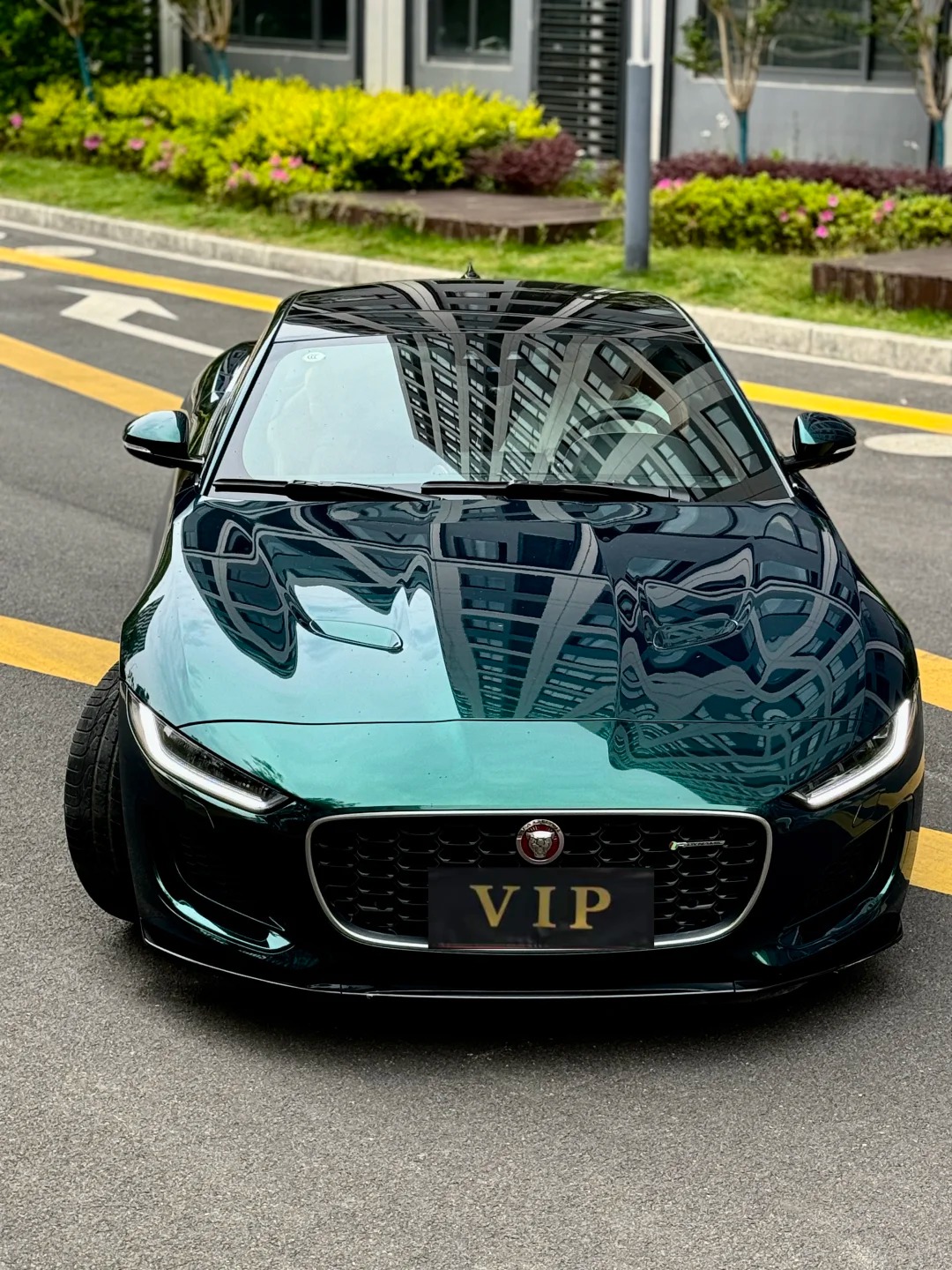 Ravoony Plus Gloss Metallic Midnight Green Car Wrap review 0