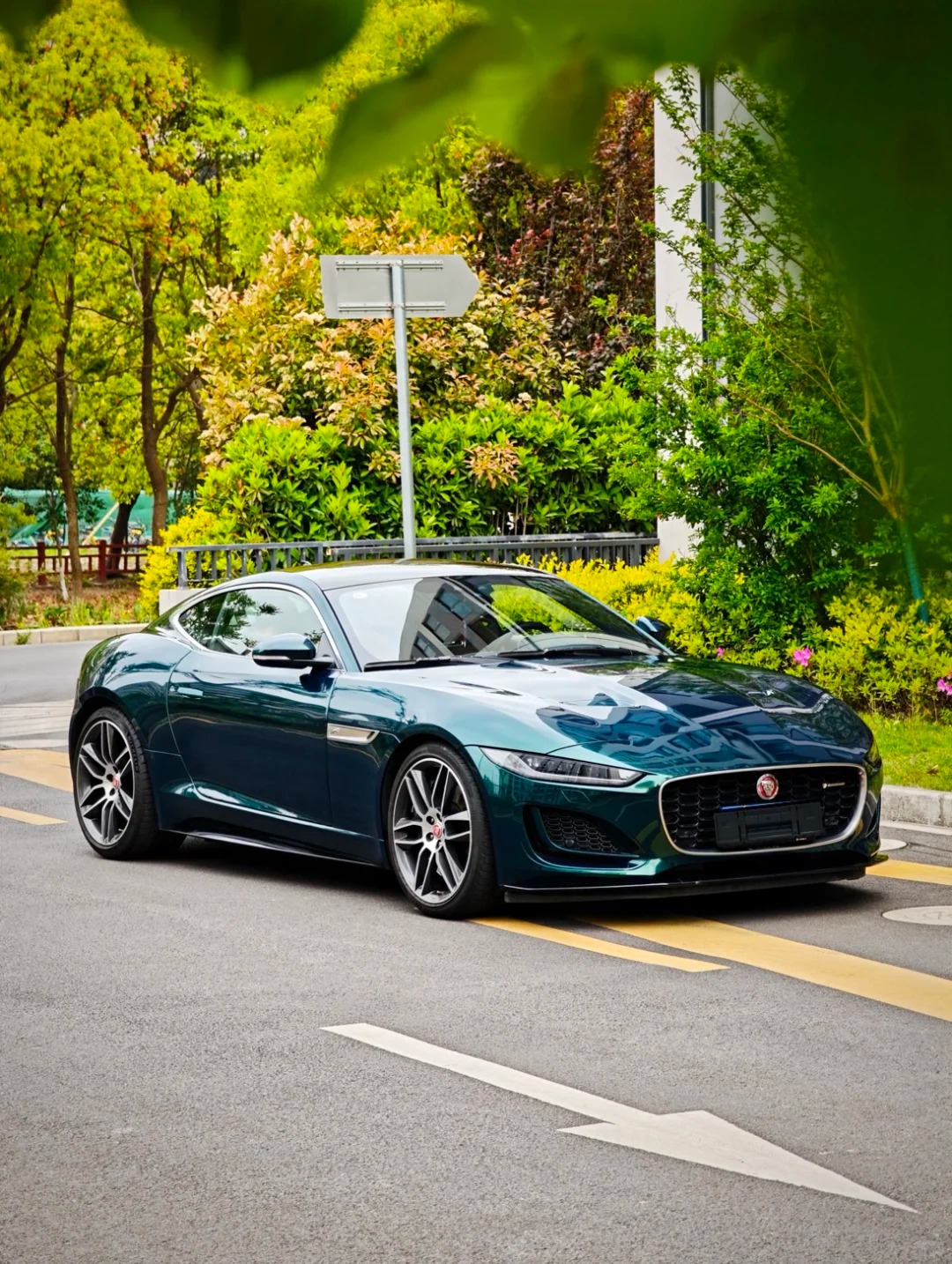 Ravoony Plus Gloss Metallic Midnight Green Car Wrap review 1