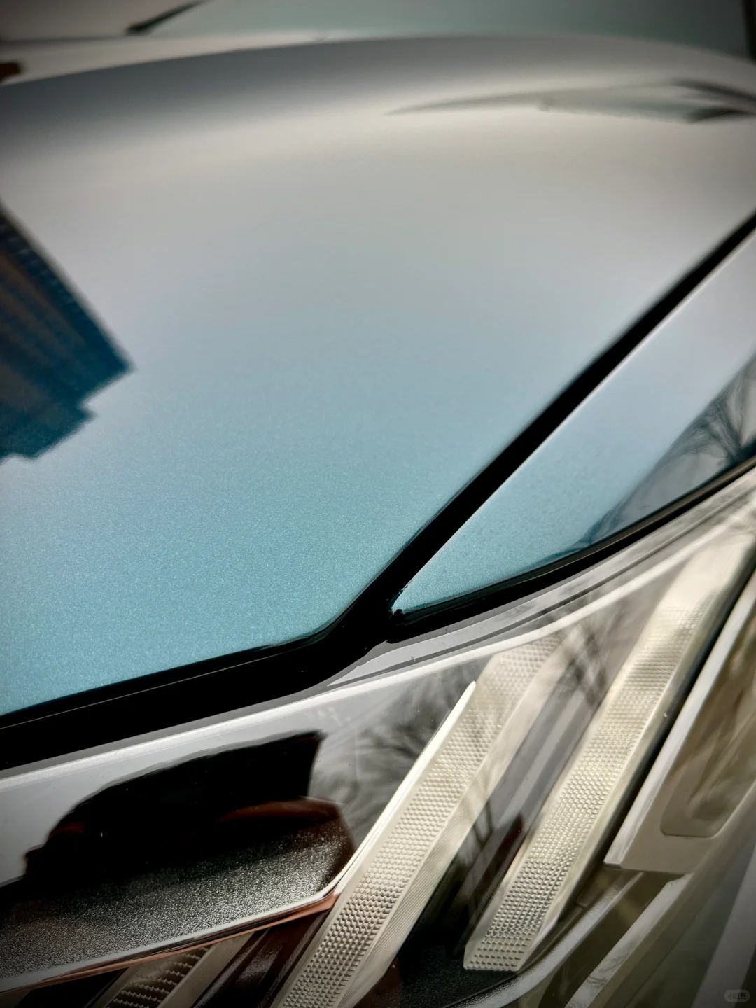 Ravoony Plus Gloss Metallic Midnight Green Car Wrap review 1