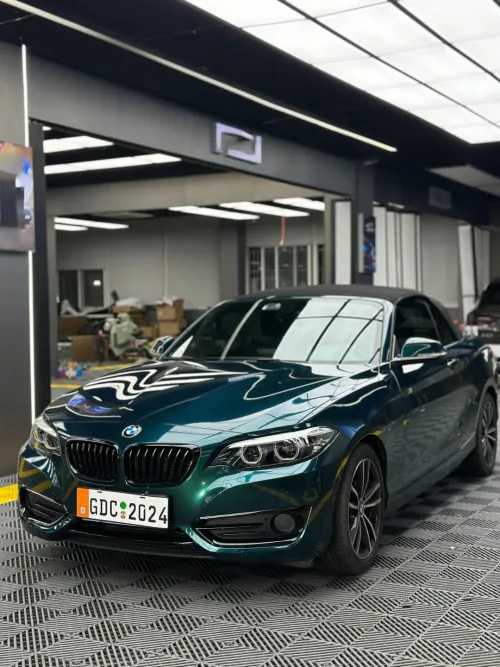 Ravoony Plus Gloss Metallic Midnight Green Car Wrap review 