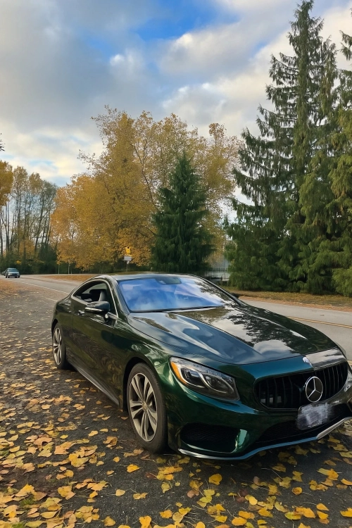 Ravoony Plus PET Gloss Pearlized Benz Emerald Green Car Vinyl Wrap review 