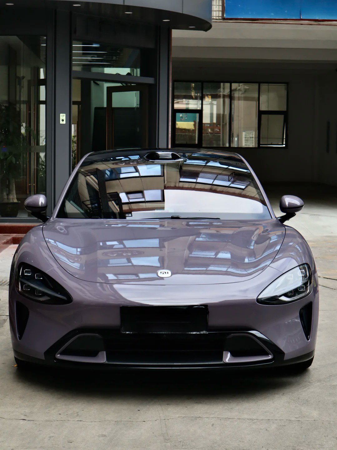 Ravoony Plus PET Gloss Provence Lavender Car Wrap review 0