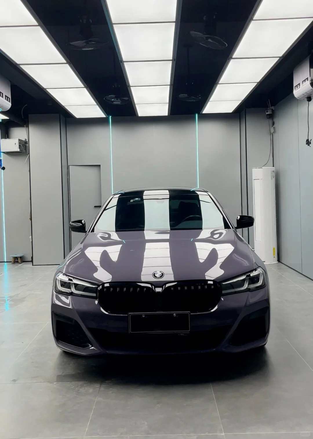 Ravoony Plus PET Gloss Provence Lavender Car Wrap review 0