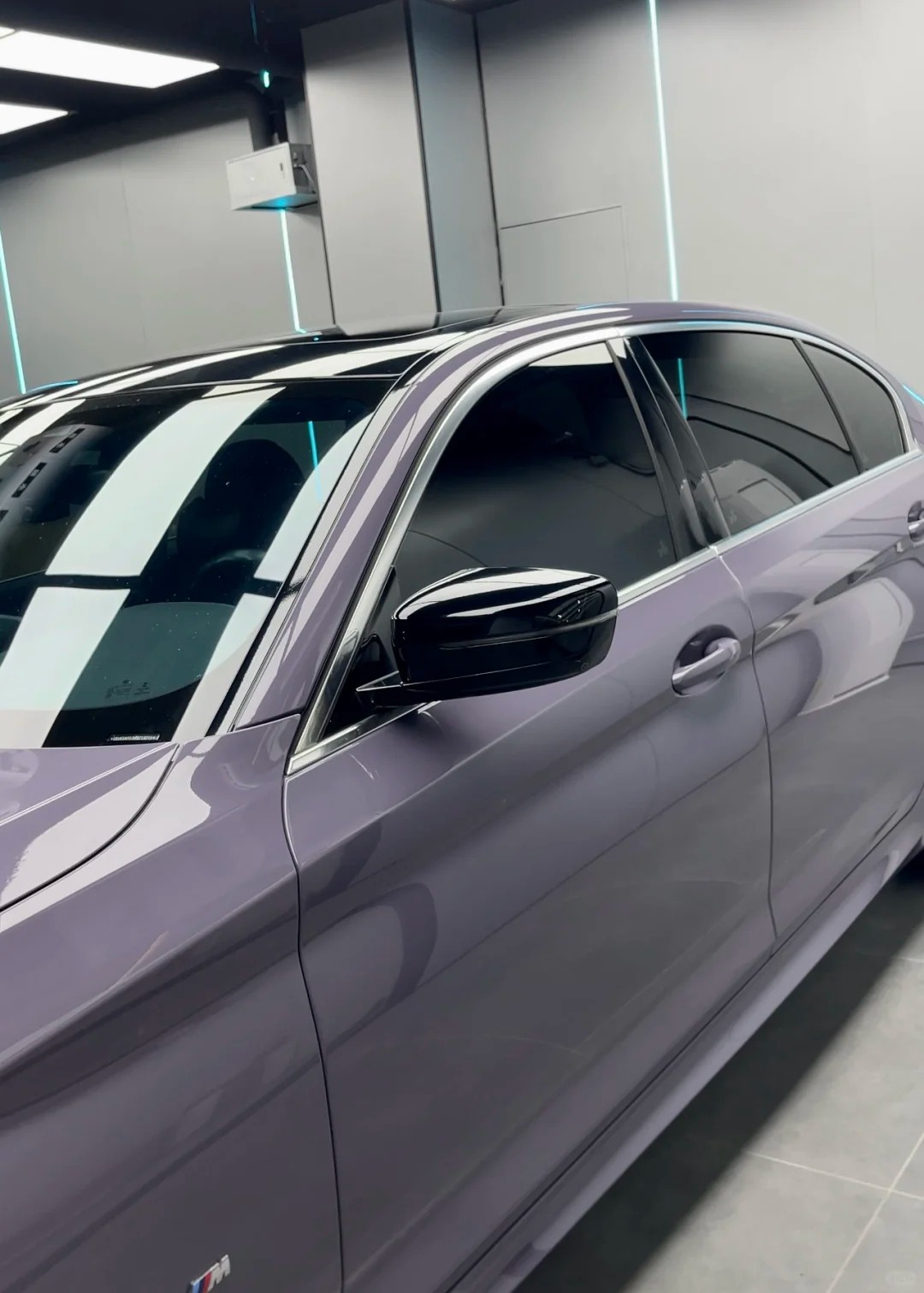 Ravoony Plus PET Gloss Provence Lavender Car Wrap review 2