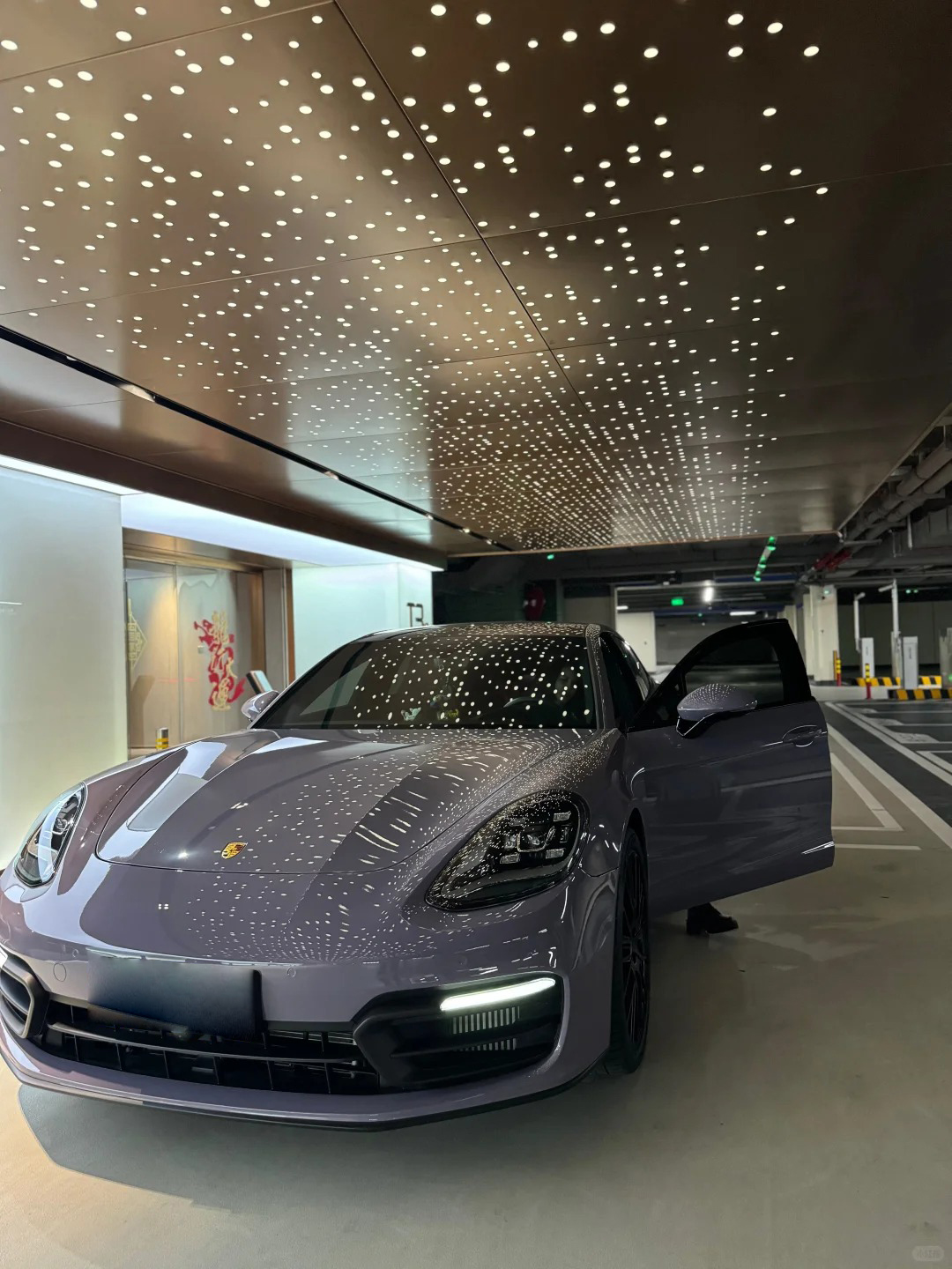 Ravoony Plus PET Gloss Provence Lavender Car Wrap review 0