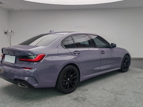 Ravoony Plus PET Gloss Provence Lavender Car Wrap review 