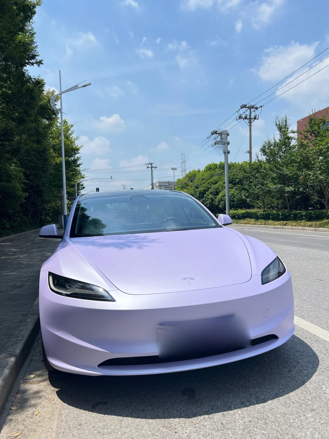 Ravoony Plus PET Ultra-Matte Violet Star Car Wrap review Sarah Jenkins 00