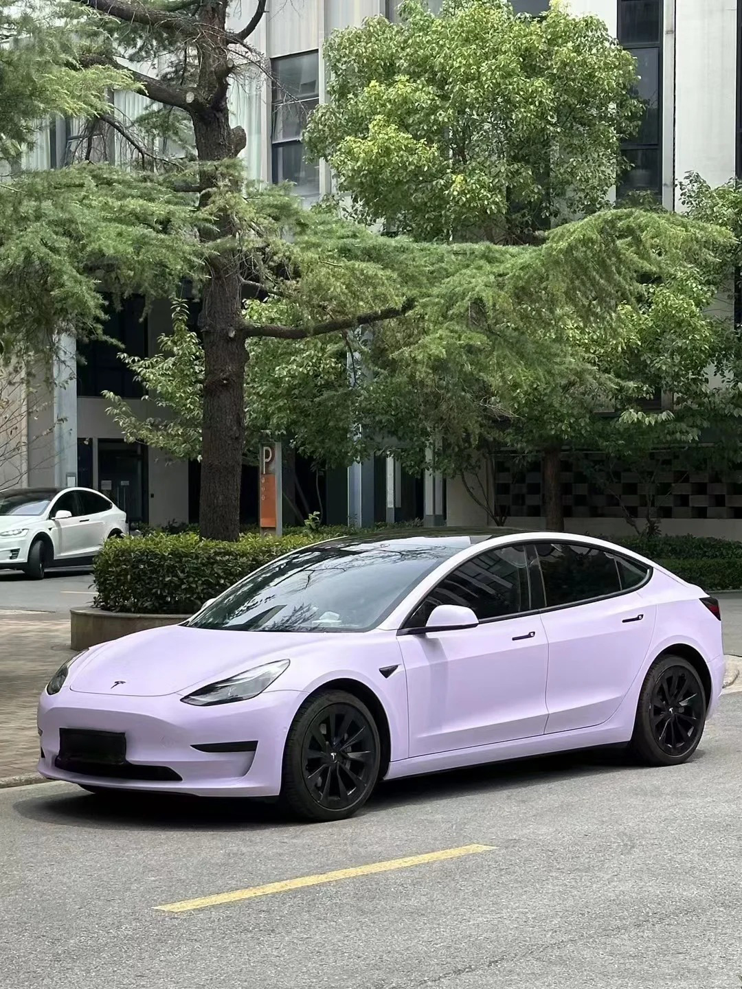 Ravoony Plus PET Ultra-Matte Violet Star Car Wrap review 2