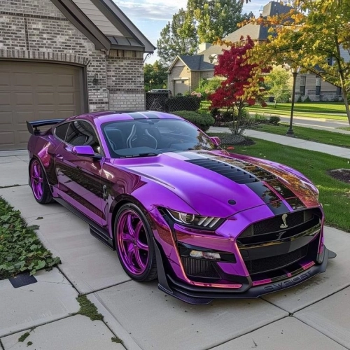 Ravoony Plus Gloss Purple Chrome Wrap review 