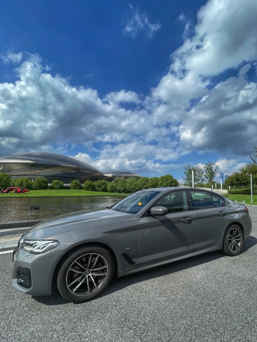 Ravoony Plus BMW Gloss Bernina Grey Car Vinyl Wrap review 