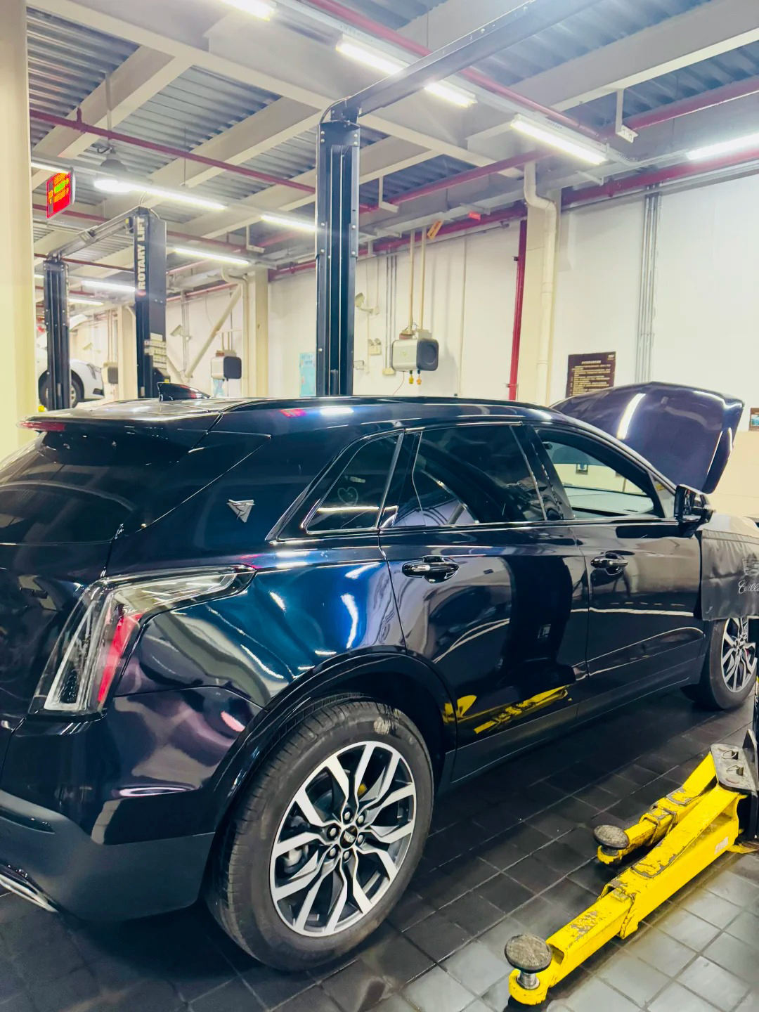 Ravoony Basic Gloss Diamond Black Fantasy Blue Car Vinyl Wrap review SolarGuard Customs